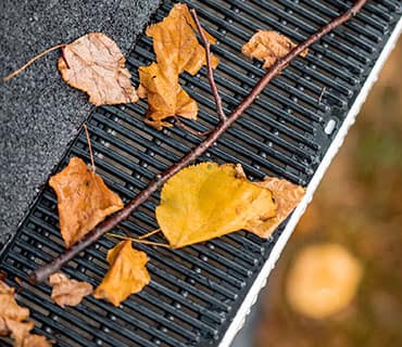 leafs trapped on gutter guard