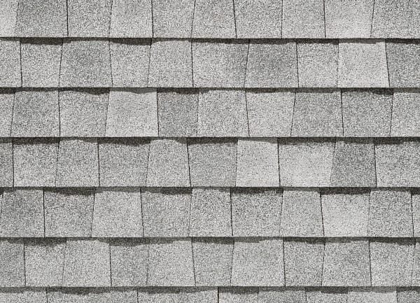 Northgate – Max Def Silver Birch