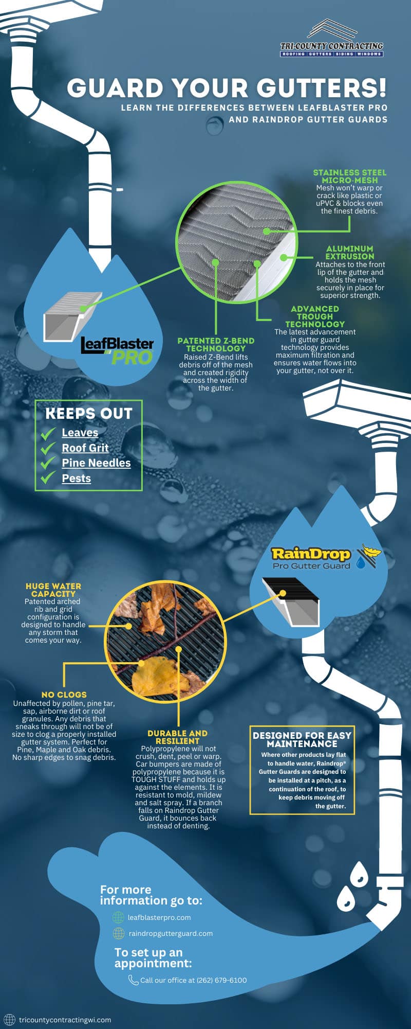 Guard your Gutters! gutter guard infographic