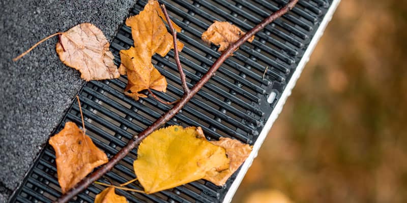 leafs on gutter guards